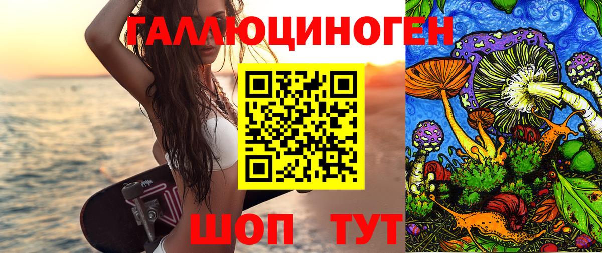 Галлюциногенные грибы Psilocybine cubensis Ноябрьск